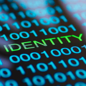 Identity Theft: A Quick Guide